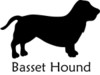Teaching Your Basset Hound to Stay